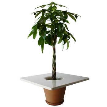 Table-pot - Edition Compagnie