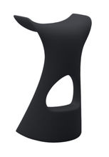 koncord