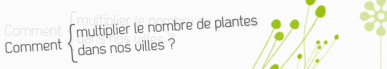 Comment multiplier le nombre de plantes dans nos villes ?