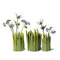 Grass vase