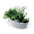 Herb Garden