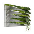 Miroir en herbe