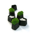 Rock Garden