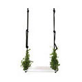 Swing with the plants
