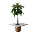 Table-pot