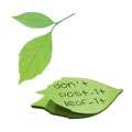 Leaf it - 2 feuilles printemps