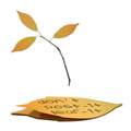Leaf it - 3 feuilles automne