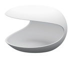 White shell