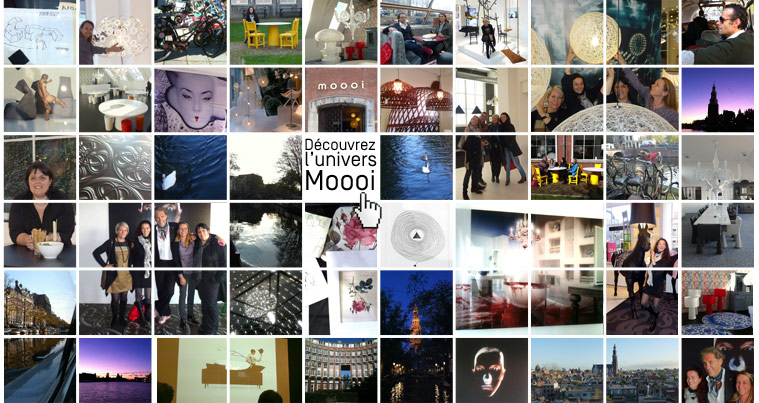 Moooi