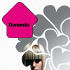 Domestic