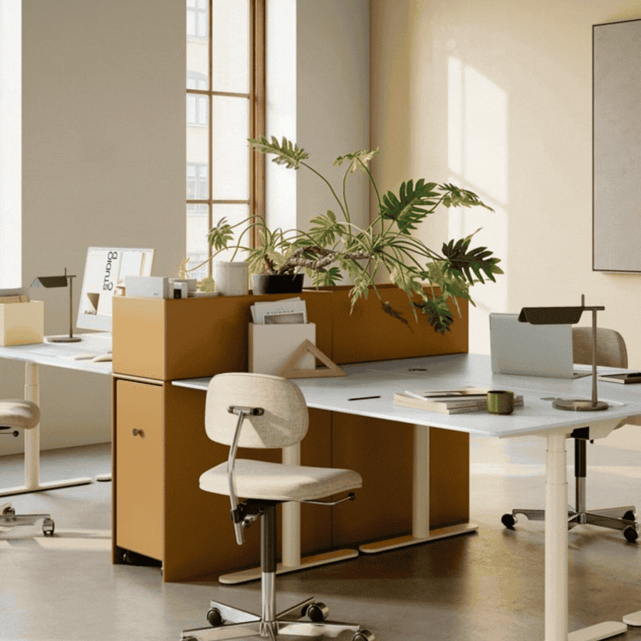 Rangements modulables Montana - Aménagement bureau professionnel