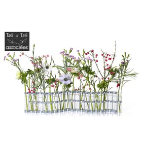 TSE BEGESI visual data 5