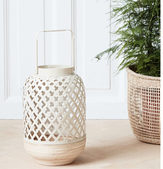 Photophore Breeze Photophore Breeze