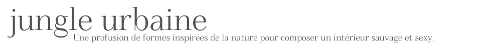 Découvrez le laboratoire de tendances ! Découvrez le laboratoire de tendances !