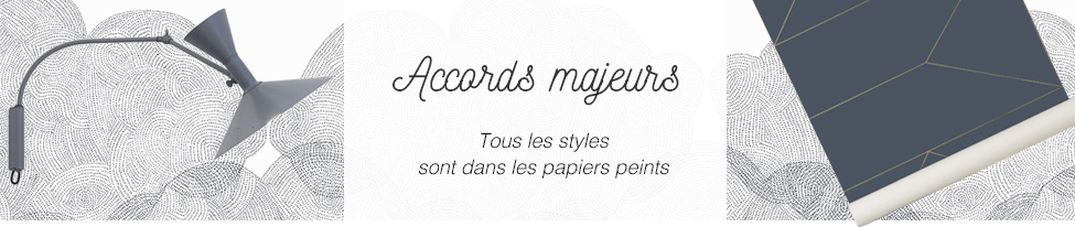 Tous les styles sont dans les papiers peints Tous les styles sont dans les papiers peints