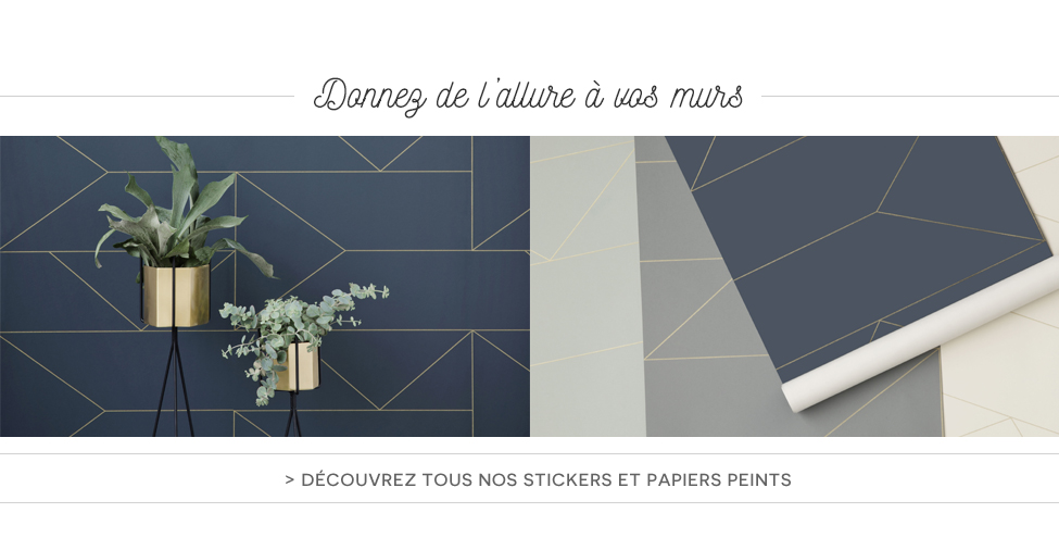 Tous les styles sont dans les papiers peints Tous les styles sont dans les papiers peints