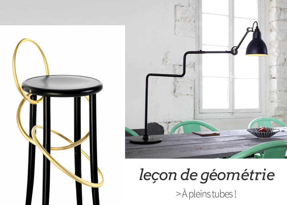Le&ccedil;on de g&eacute;om&eacute;trie