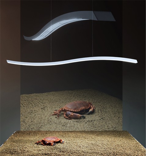 SUSPENSION SERPENTINE