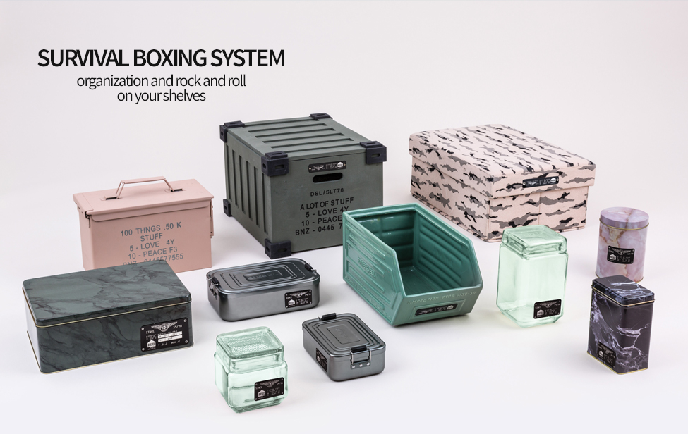Survival Boxing System