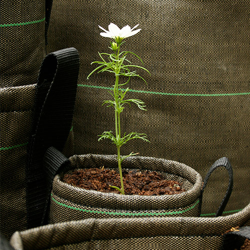 Pot de fleurs Batyline® Pot de fleurs Batyline®