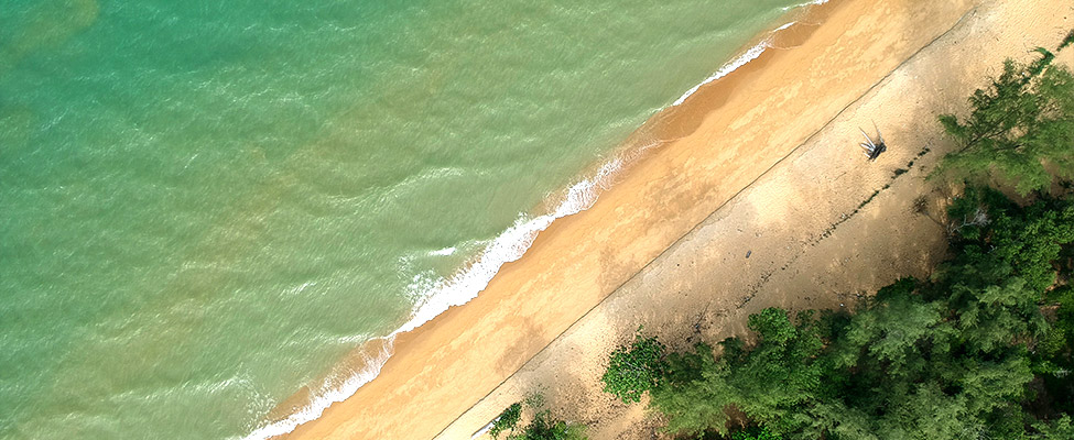 Nature contemporaine au Cap Ferret