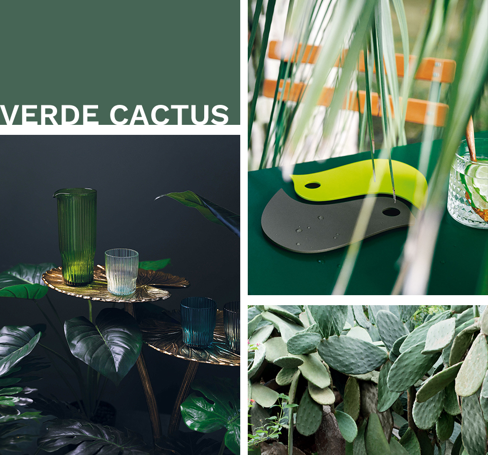 Verde Cactus