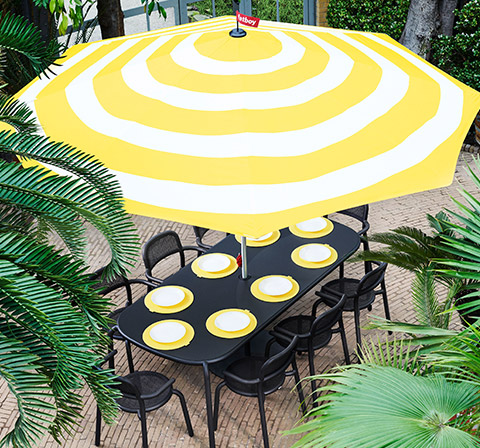 Zeste de citron