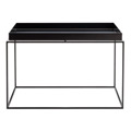 Tray Table